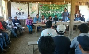 Yuracarés comenzarán el 20 de agosto a recoger las propuestas para su estatuto autonómico indígena