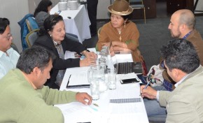 Vocales indígenas del OEP fijan una agenda de trabajo para fortalecer los derechos colectivos de las naciones y pueblos indígenas