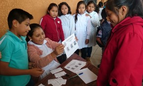 Tarija: eligen a 30 asambleístas departamentales infantiles a través de las democracias Representativa, Directa y Participativa, y Comunitaria