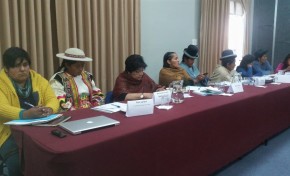 El TSE promueve el fortalecimiento de la participación política de las mujeres indígenas en procesos de Democracia Paritaria e Intercultural