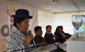 El TSE destaca avances en la Democracia Intercultural en Bolivia durante su informe de gestión 2018