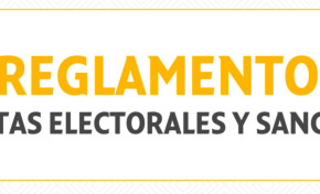 Reglamento de faltas y sanciones precautela la aplicación de la norma y enmarca en la CPE las actividades de los protagonistas del proceso electoral