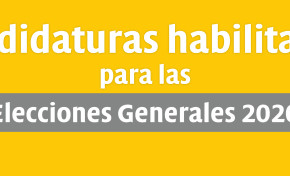 El TSE publica las listas finales de candidaturas habilitadas para las Elecciones Generales 2020