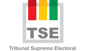 El TSE instruye a las organizaciones políticas adecuar sus estatutos e incorporar mecanismos contra el acoso político y la despatriarcalización