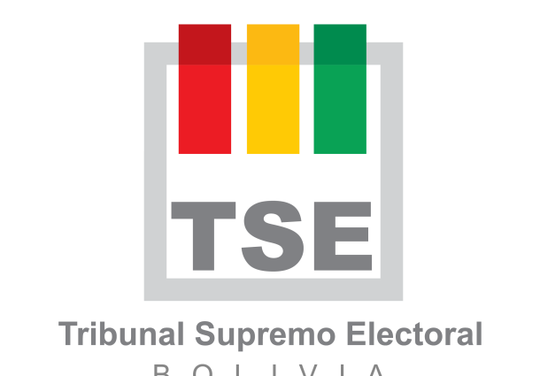 El TSE instruye a las organizaciones políticas adecuar sus estatutos e incorporar mecanismos contra el acoso político y la despatriarcalización