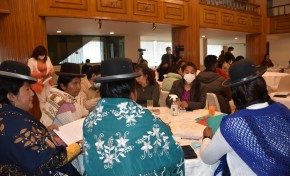 TED La Paz: La renuncia de mujeres en función pública debe ser voluntaria y según procedimiento