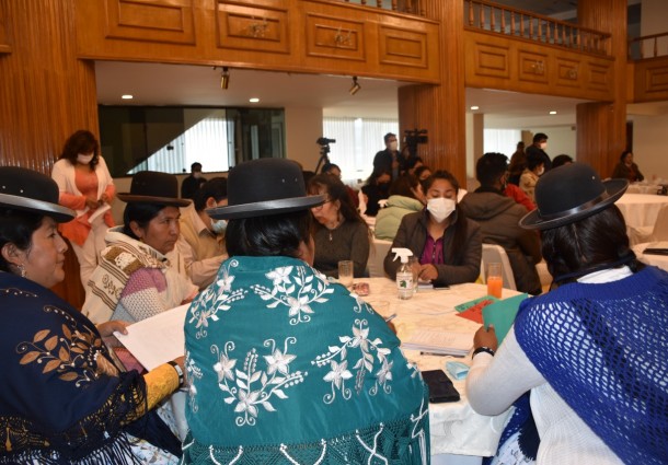 TED La Paz: La renuncia de mujeres en función pública debe ser voluntaria y según procedimiento