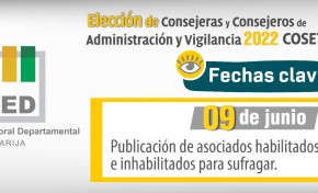 El TED Tarija publica la lista de habilitados, inhabilitados y recintos para votar en las elecciones de Cosett RL