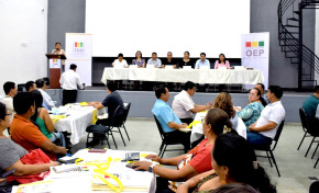 Santa Cruz: OEP y cooperativas de servicios públicos evalúan la supervisión electoral de elecciones de consejeros