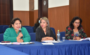 TSE participa en el “Mecanismo de Prevención” contra el acoso y violencia política para garantizar los derechos de concejalas de Sipe Sipe
