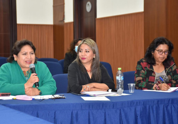 TSE participa en el “Mecanismo de Prevención” contra el acoso y violencia política para garantizar los derechos de concejalas de Sipe Sipe