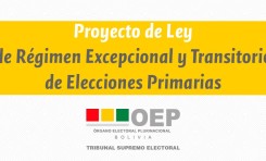 Conoce los motivos y alcances del proyecto de Ley de Régimen Excepcional y Transitorio de Elecciones Primarias