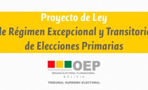 TSE presentó a la ALP el proyecto de ley para la suspensión de las Elecciones Primarias