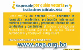 Conoce cómo será la difusión de méritos de las candidatas y candidatos para las Elecciones Judiciales 2024