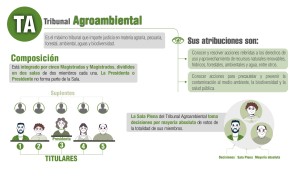 Elecciones Judiciales 2024: conoce a los 13 candidatos que postulan al Tribunal Agroambiental