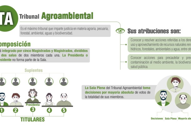 Elecciones Judiciales 2024: conoce a los 13 candidatos que postulan al Tribunal Agroambiental