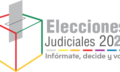 Elecciones Judiciales 2024: conoce las papeletas que recibirán las y los ciudadanos en cada departamento este domingo 15 de diciembre