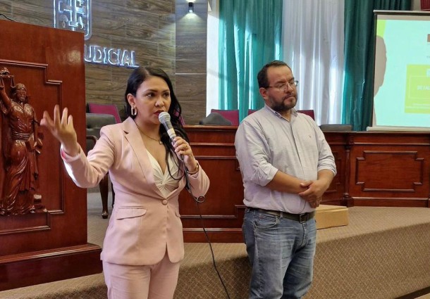 TED Santa Cruz capacita a juezas y jueces electorales para las Elecciones Judiciales 2024