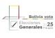 Elecciones Generales 2025: 18 empresas se encuentran registras para elaborar estudios de opinión en materia electoral
