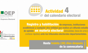 Medios de comunicación, empresas e instituciones académicas deberán registrarse ante los TED para publicar encuestas