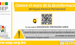 Elecciones Subnacionales 2026: OEP lucha contra la desinformación y la difusión irregular de encuestas