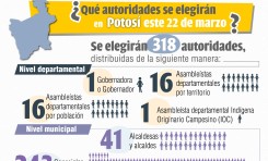Potosí elige 318 autoridades en las Elecciones Subnacionales 2026