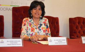 Los 14 referendos son un nuevo ejercicio de democracia directa y participativa