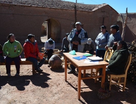 consultapreviatedptsi_040716