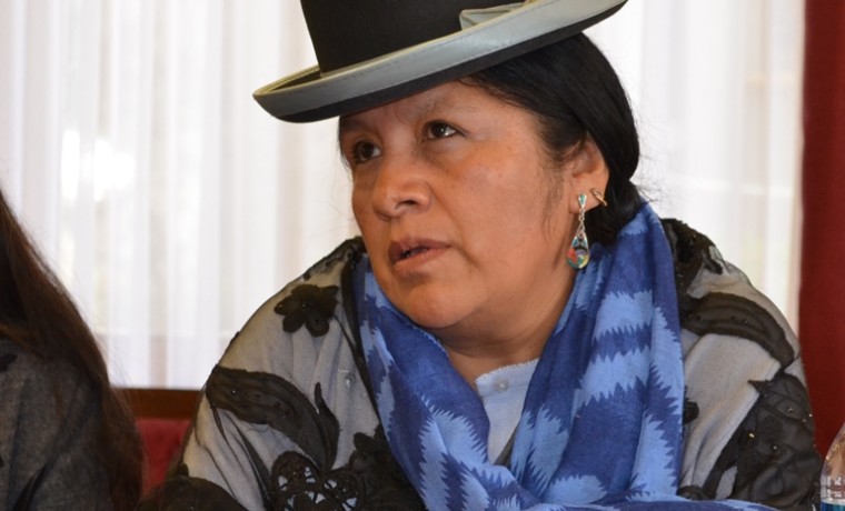 3. La vocal del TSE, Maria Eugenia Choque.