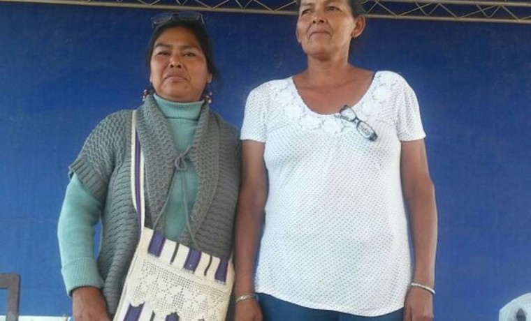 5. Las representantes al Órgano de Desición Colectiva.