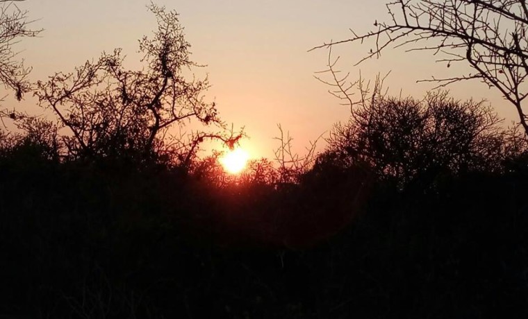 14292470_1719194705012241_6665375581675077022_n