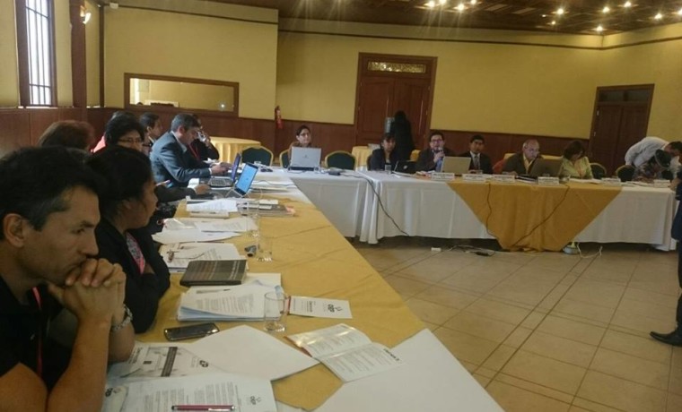 6. Durante el desarrollo del taller.