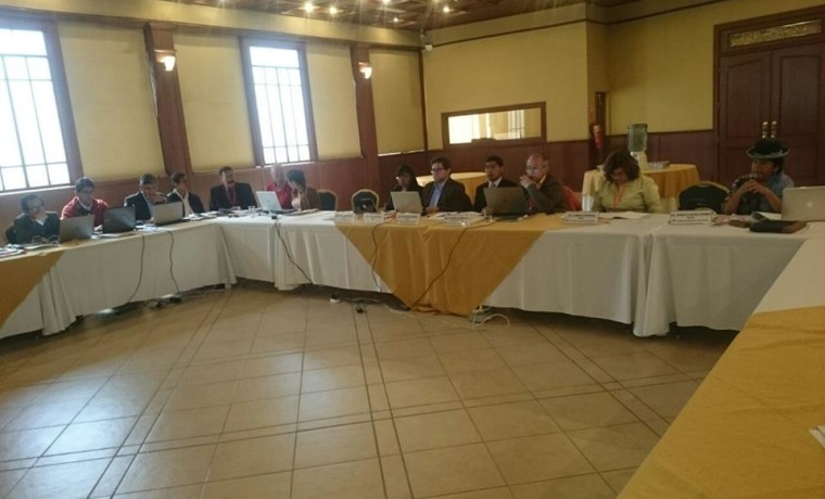 9. Durante el desarrollo del taller.