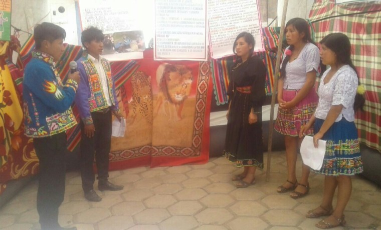 estudiantes-explican-sobre-democracia-representativa-ataviados-con-ropa-tipica-de-caripuyo