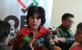 OEP prevé consolidar una propuesta de Ley de Organizaciones Políticas hasta la siguiente gestión