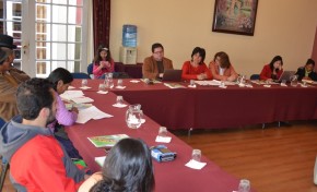 OEP pondera la incorporación de criterios de paridad en los proyectos estatutos autonómicos