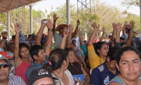 OEP devolverá a mujeres de AIOC hallazgos sobre estudio de participación política