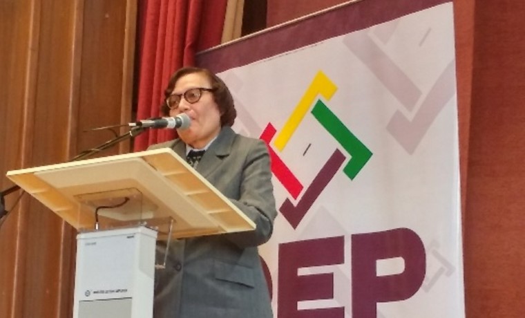 5-exposicion-por-la-representante-departamental-de-la-defensoria-del-pueblo-en-la-paz-teresa-zubieta