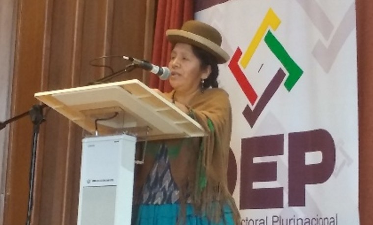 6-exposicion-por-la-vocal-del-tse-maria-eugenia-choque