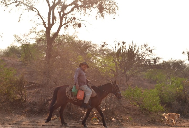 leyescharagua_061016_1