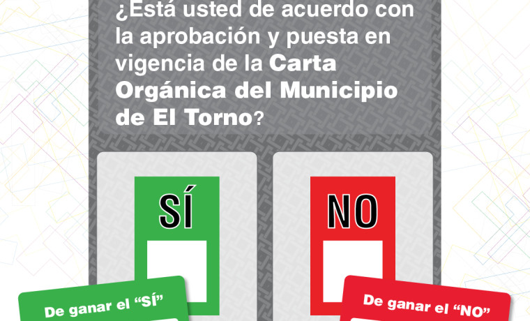 161024-afiche-referendo-preguntas-05