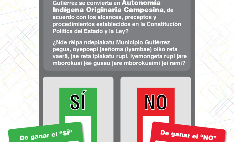 161024-afiche-referendo-preguntas-07