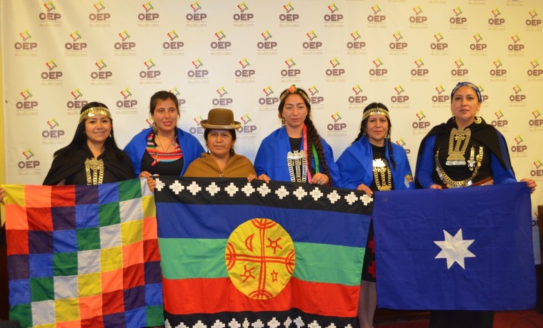 reunionmapuche_111116_1