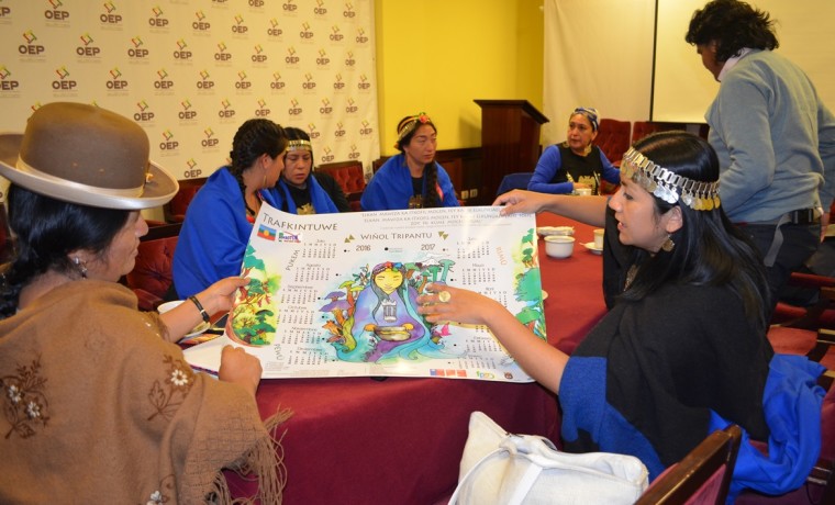 reunionmapuche_111116_2