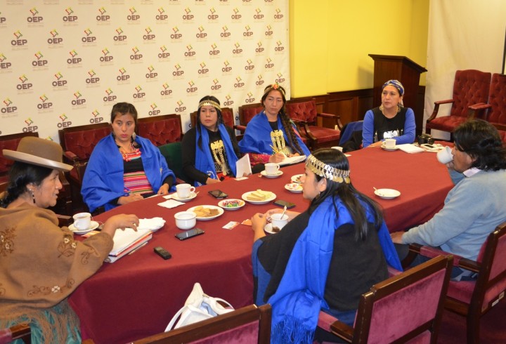 reunionmapuche_111116_3