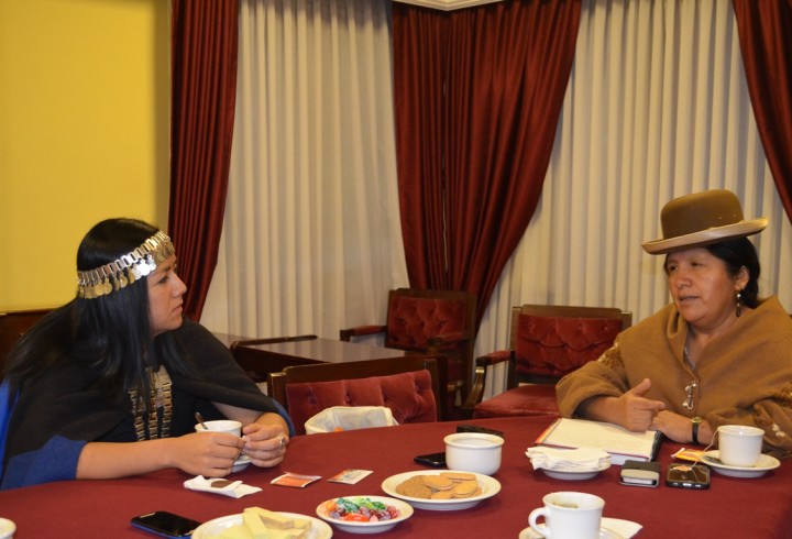 reunionmapuche_111116_4