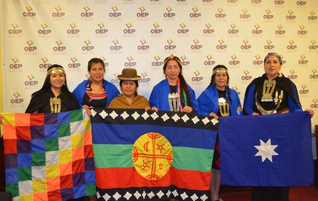 reunionmapuche_111116