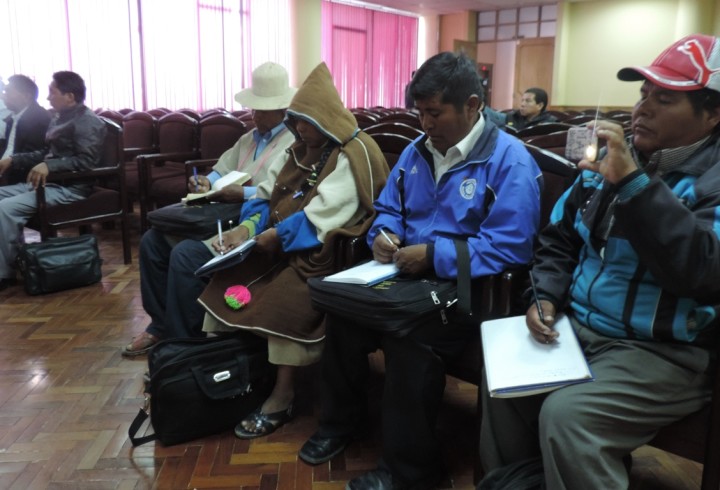 estatutochipaya_021216_1