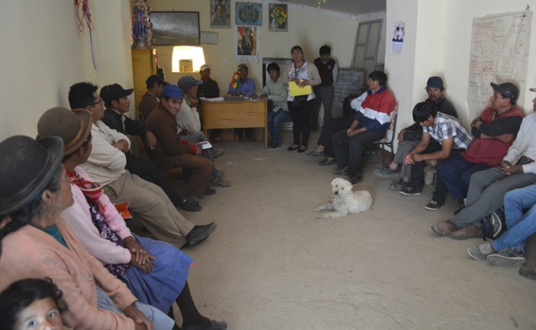 consultapotosi_290317