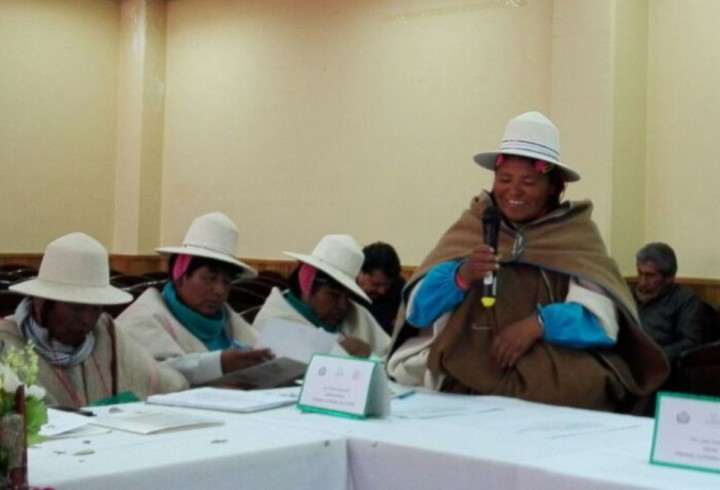 tallerchipaya_090317_5